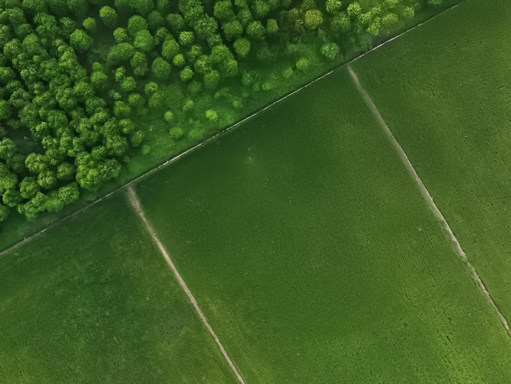 Levantamiento topográfico con dron